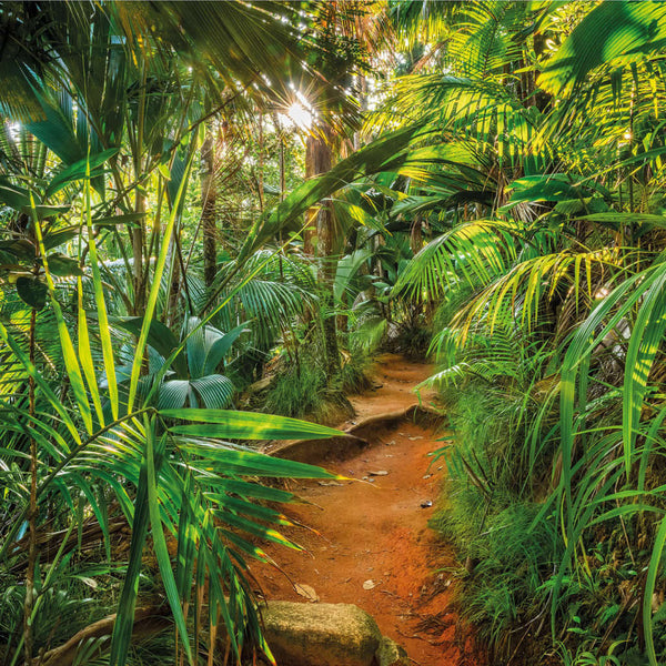 Komar Veggmaleri Jungle Trail 368x254 cm