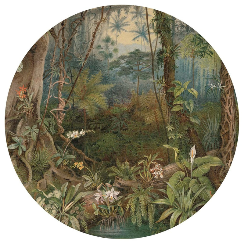 WallArt Tapetsirkel In the Jungle 142,5 cm