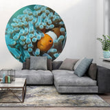 WallArt Tapetsirkel Nemo the Anemonefish 142,5 cm